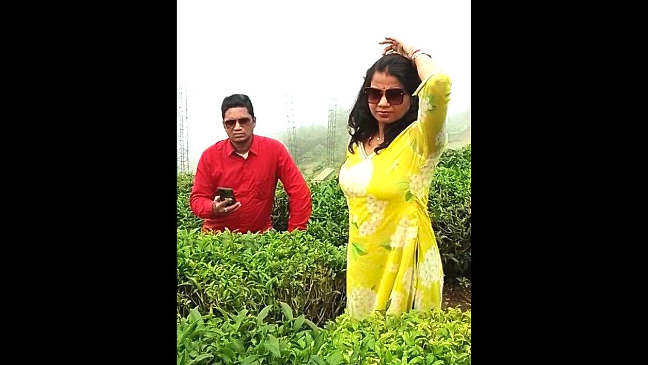 Inside the tea garden of Darjeeling