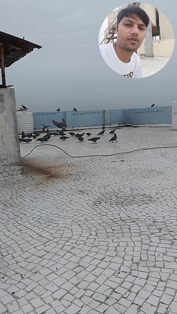 jivdaya mehsana 🥰🌹🥰🥰