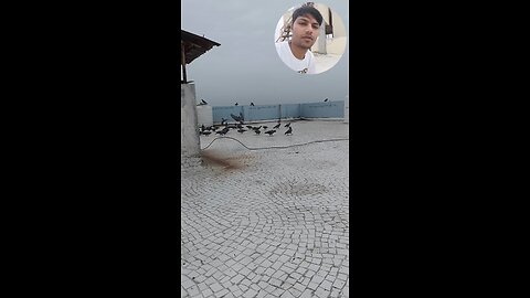 jivdaya mehsana 🥰🌹🥰🥰