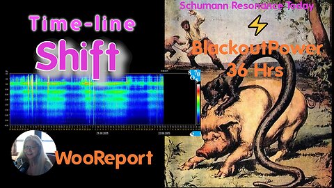 Blind Schumann Resonance Reading ⚡️ Power 36 Hrs Blackout 8/23/25
