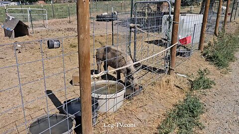 Graham Family Farm NW: 10:15 AM July 11 2025