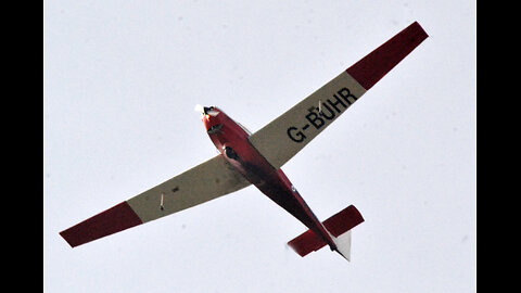 The Winged Monkeys. The wonderful wizard of Oz Frank Baum