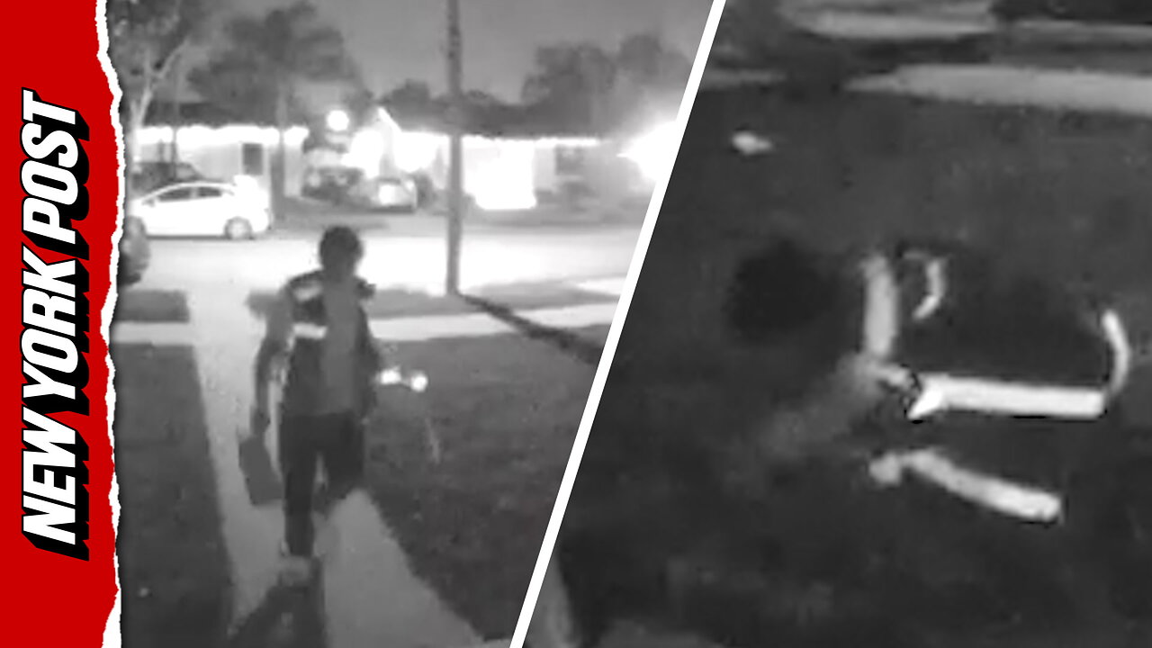 Delivery man steals cat from driveway