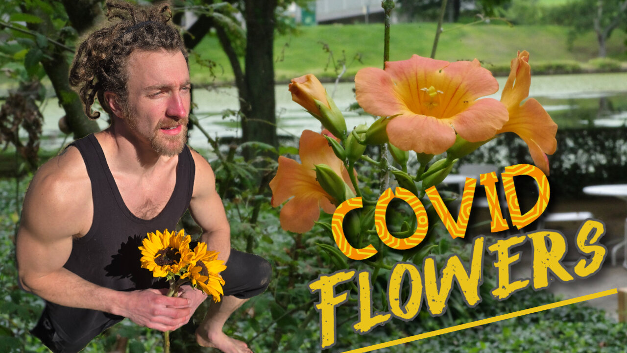 Covid Flowers - Turning Lockdowns into Lilies