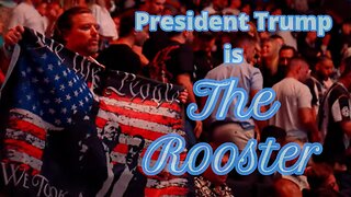 Trump.....AKA "The Rooster"