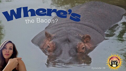 Where's the Bacon? House Bill 23261: The Hippo Meat Plan