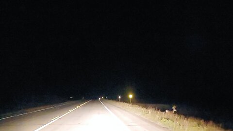 DRIVING THROUGH SOUTH DAKOTA AT NIGHT FILMING WILDLIFE