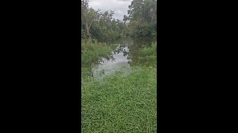 Salt Creek Breaking its Banks