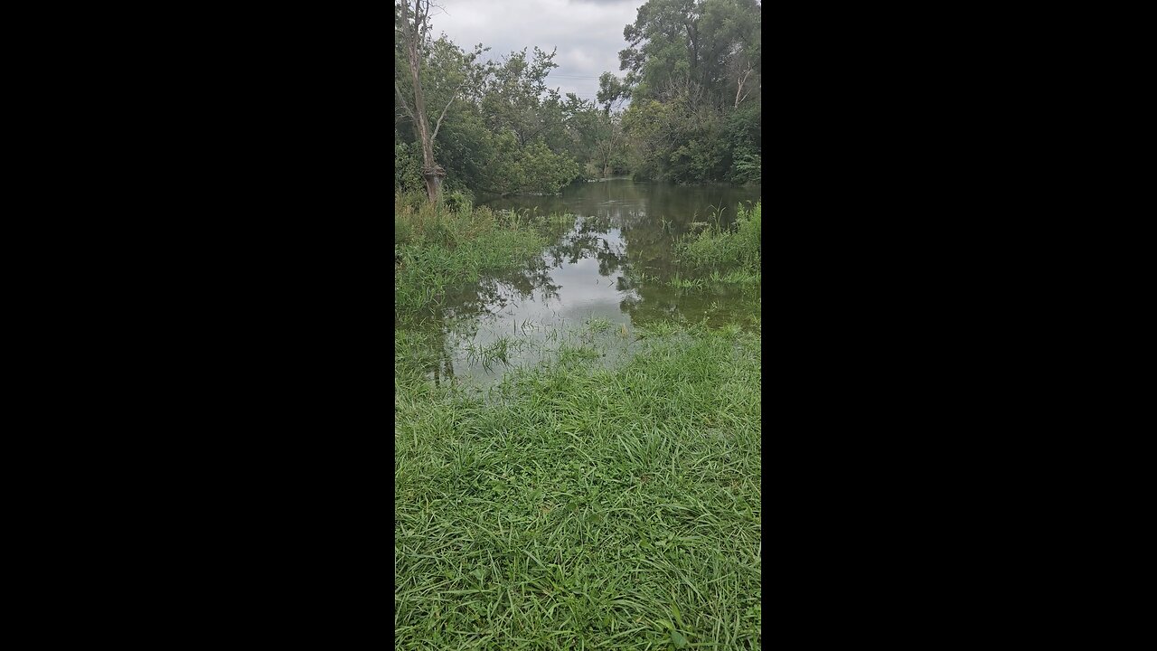 Salt Creek Breaking its Banks