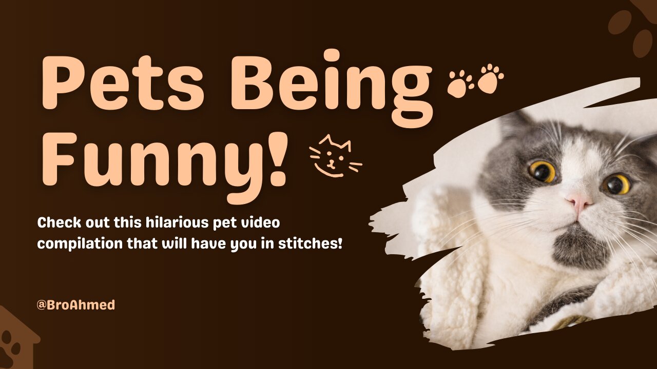 Pets Being Funny😻🐶