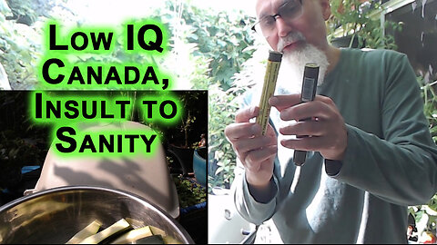 Low IQ Canada, Insult to Sanity, Bureaucrats Destroying Society: Bureaucracy Is Enemy of Humanity