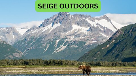 Katmai National Park Bear Feeding Live Stream!