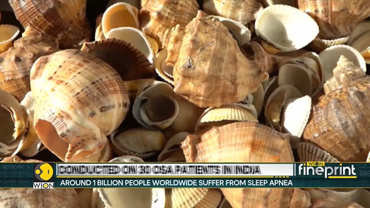 Study_Reveals_Conch_Blowing_Led_to_34__Less_Sleepiness_During_the_Day___WION_Fineprint