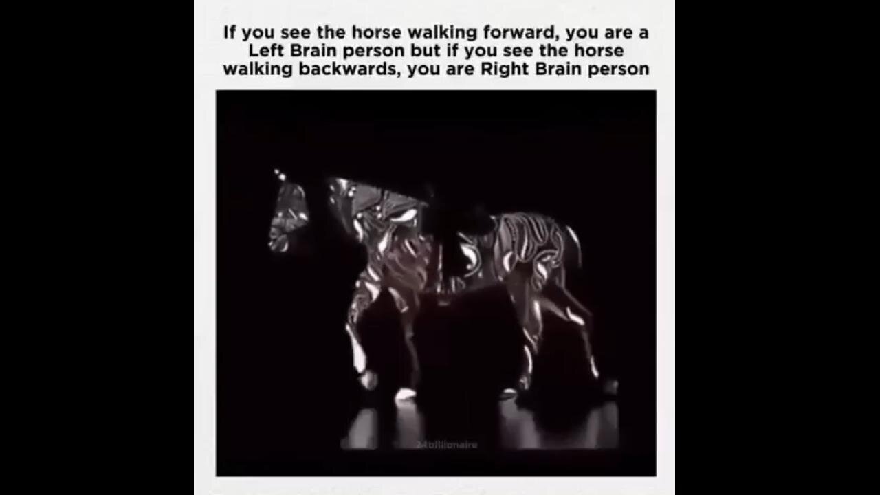 BRAIN TEST: U See Horse Walking Forward U R LEFT BRAIN Person - Walking Backwards, U R RIGHT BRAIN Person