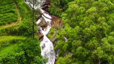 Unwind in Kerala – Munnar, Alappuzha & Trivandrum Tours with SV Travels