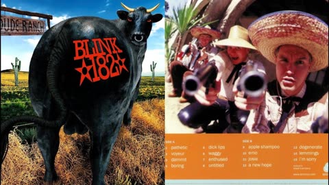 What Does Blink 182's 'Apple Shampoo' Mean?