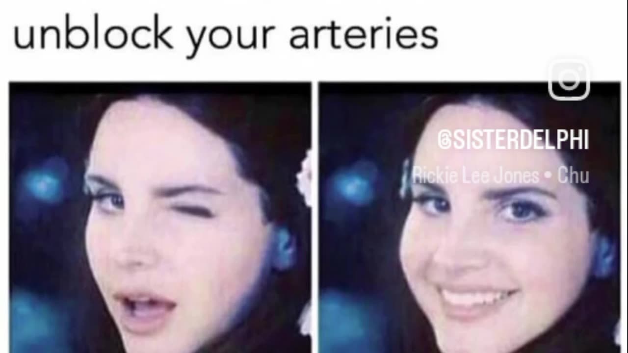 Blocking 🖐🏽 Vegans 😉