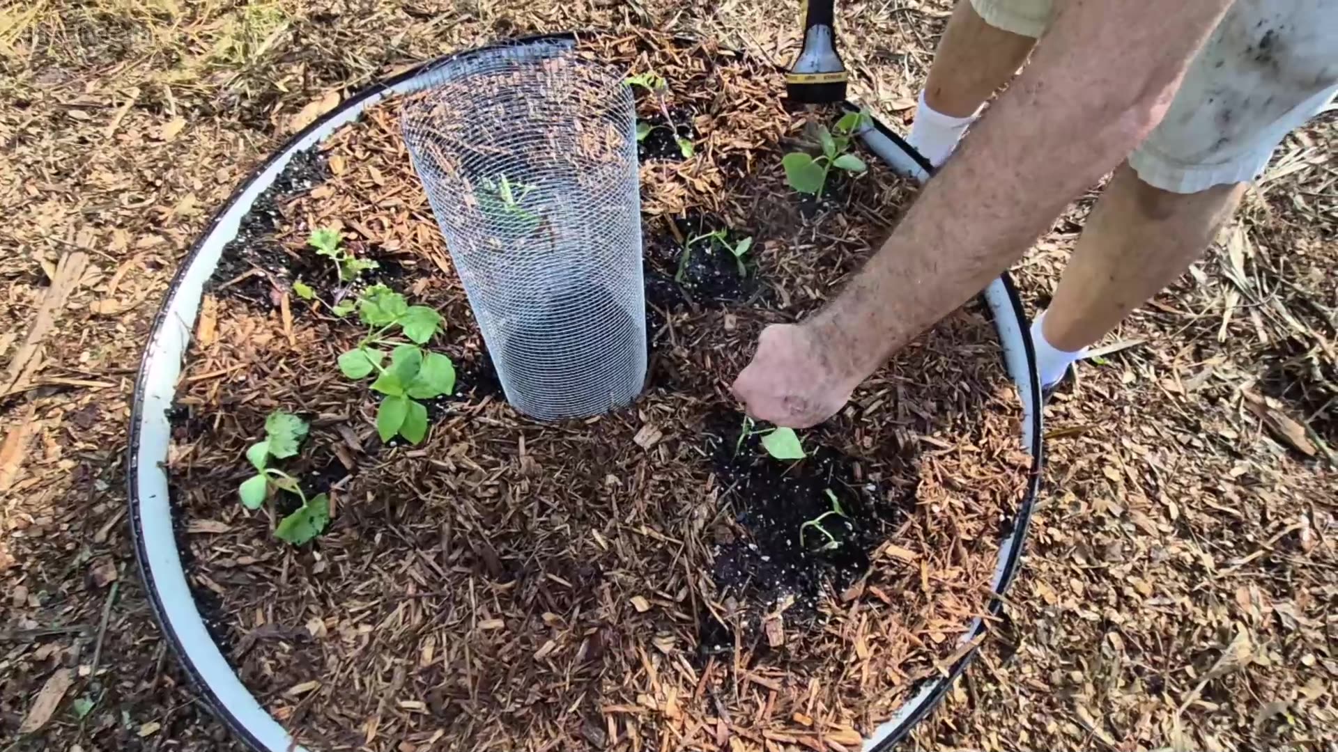 Keyhole Garden Beds for Annuals - Permaculture with CC Brown
