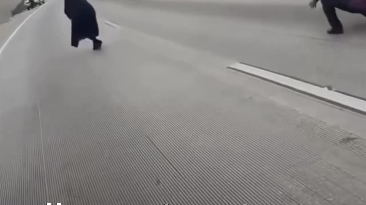 La fuga de un perro desencadena una ‘tensa’ persecución vial