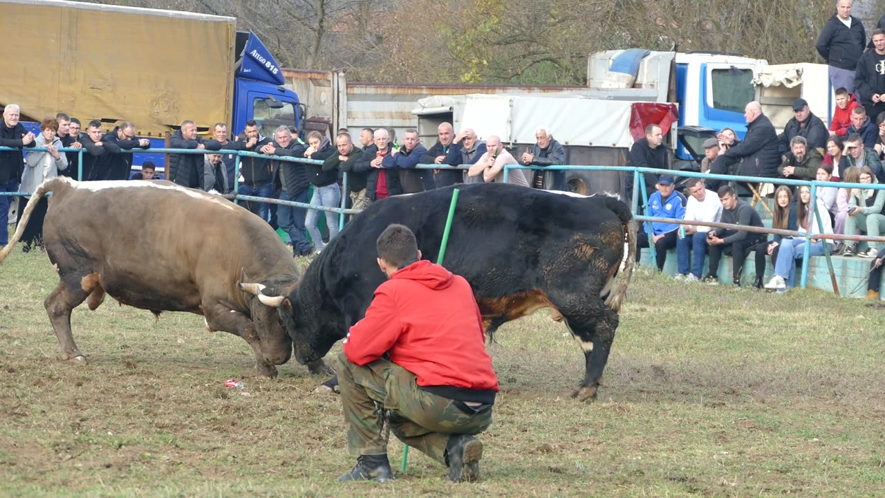 Lugo od Tukića vs Peran od Avdibašića Zimča 2025