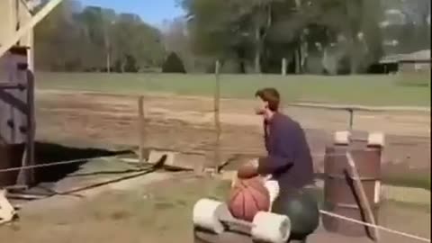 Home made gym