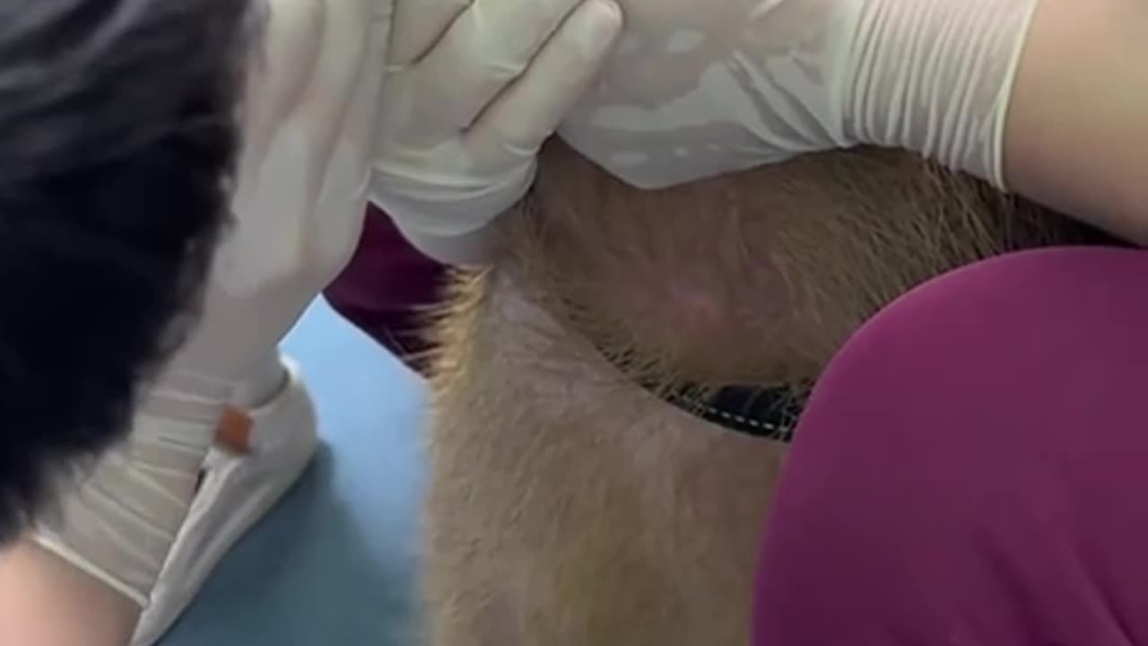 Trying to be brave at the dentist