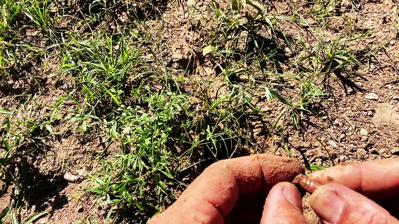 300 WSM 154 HHT Bullet Recovered