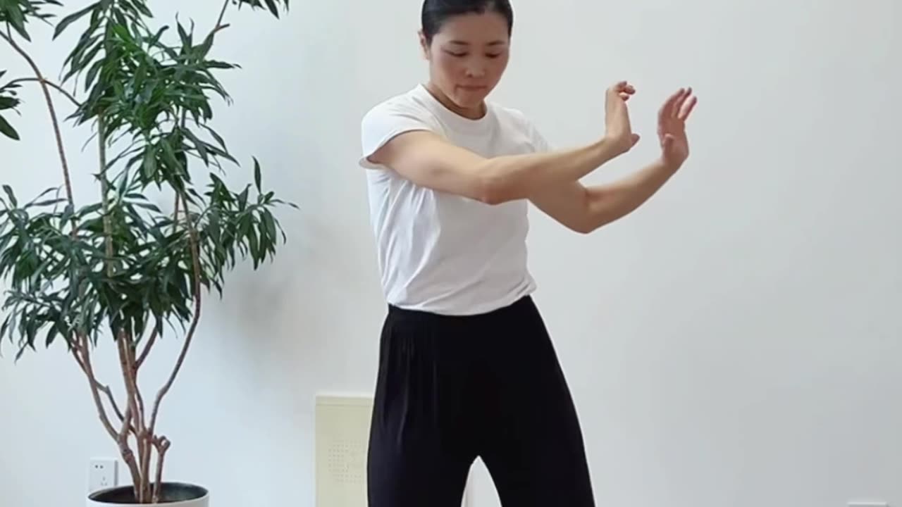 806.髖胯腳脊椎協調性訓練