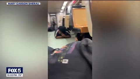 Niggers on a train what could possibly go wrong