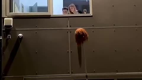 Funny video