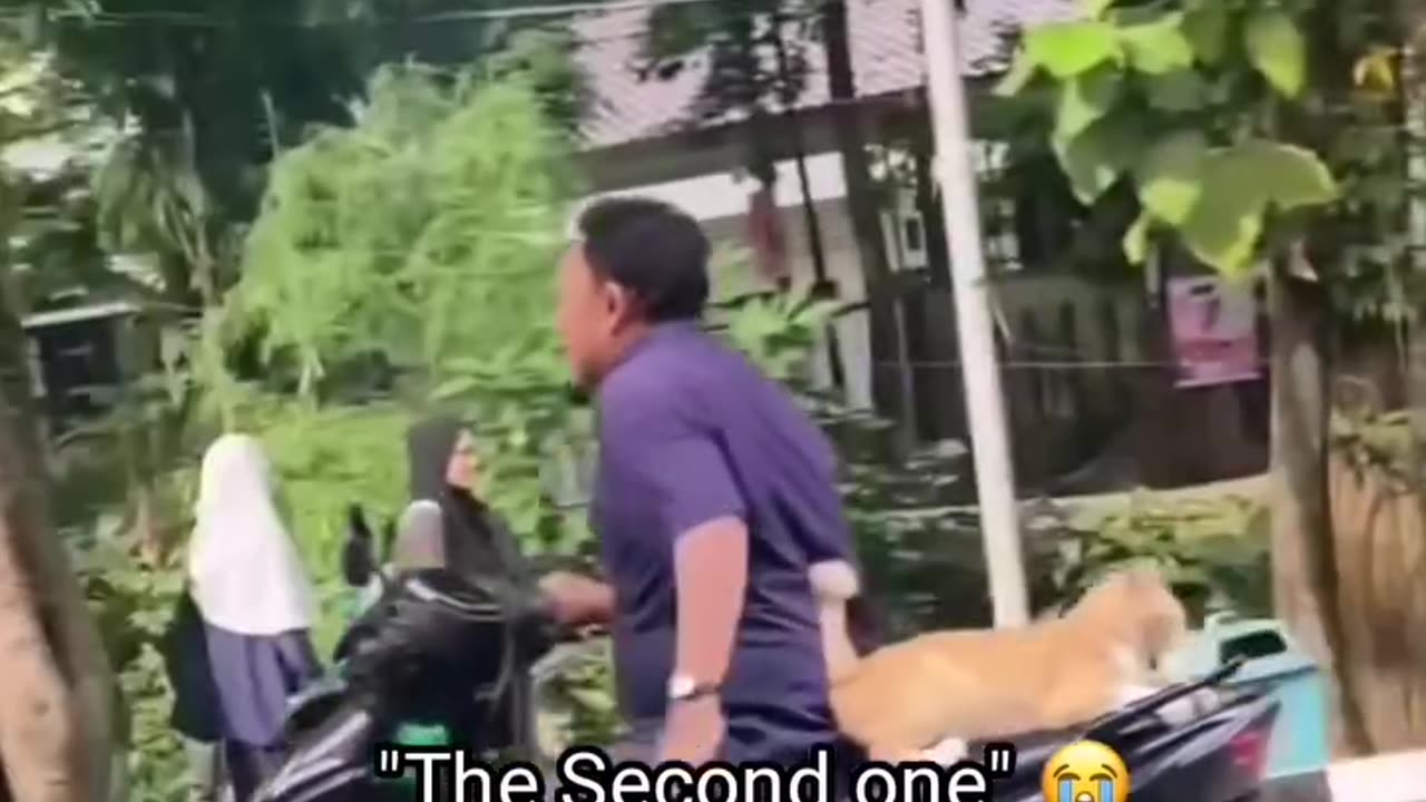 SNOOF & SNORT DESERVES FAME!πΆπΊπ±π¦π―π¨π»