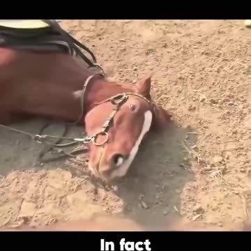 Don't be a "Tom". HAHAHA