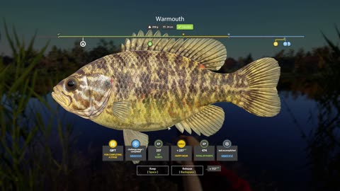 Russian Fishing 4 – Stage 1 DONE | No Talking