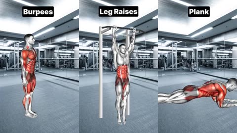Full Body Workout