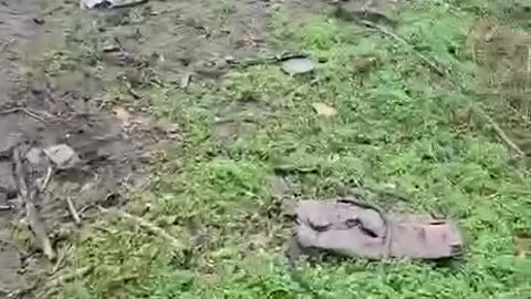 Fantastic UAV strike