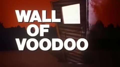 Wall Of Voodoo - Mexican Radio (HD)