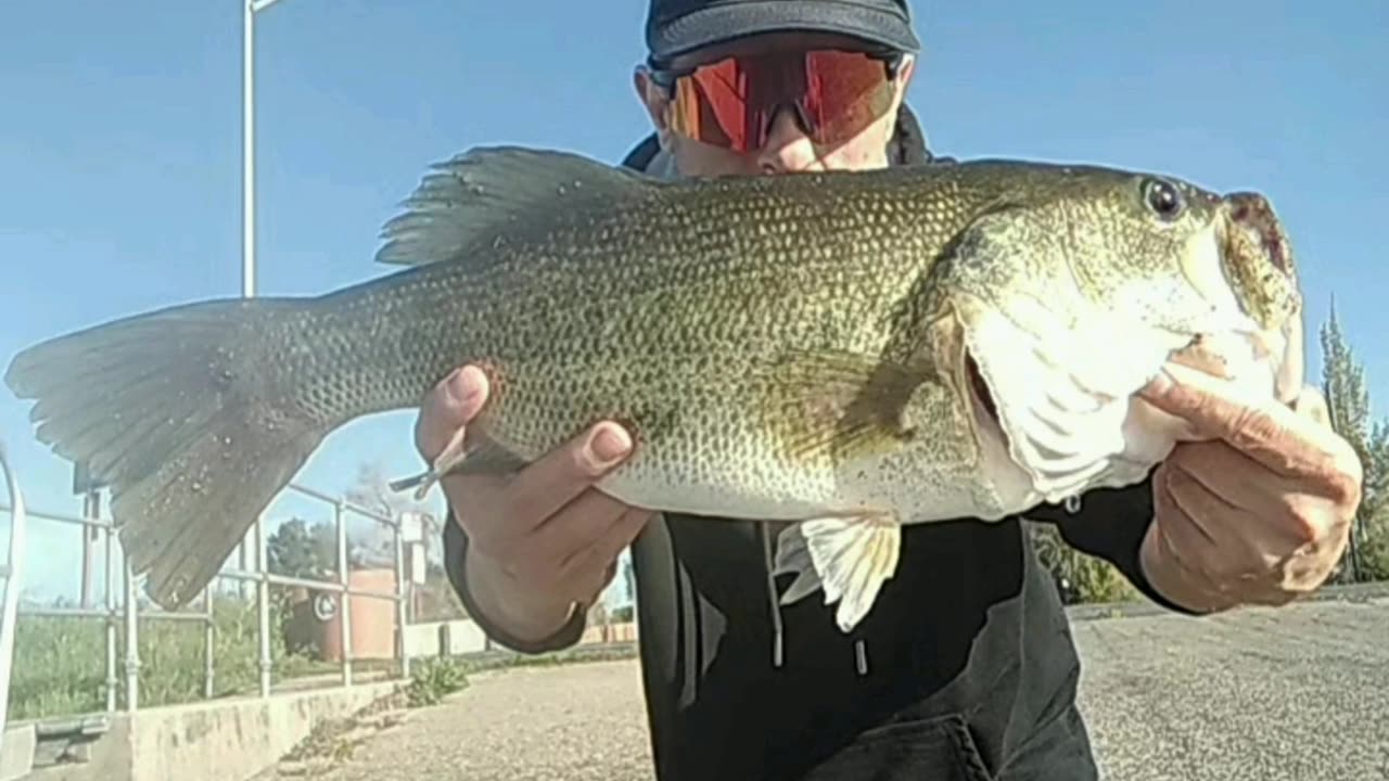 2025 Spring Time Bass Fishin off to a GREAT start!!