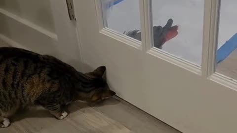 Wally and Esther