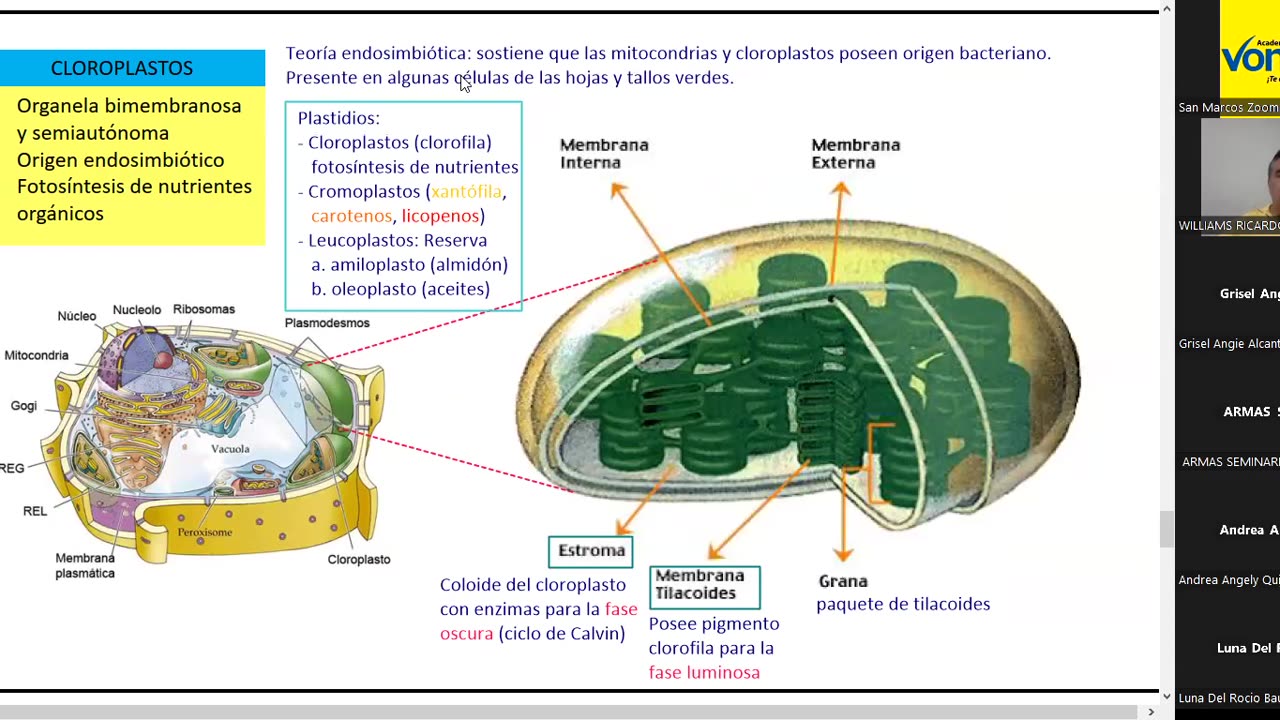 VONEX SEMESTRAL 2024 | Semana 02 | Biología