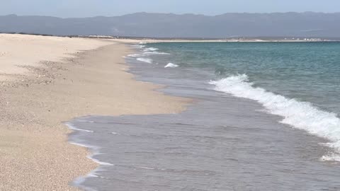 Plan para la Salud y el Bienestar Personal ES