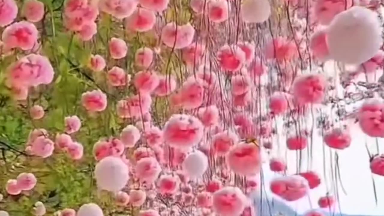 Beautiful