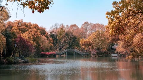 Vivaldi Autumn