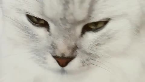 He Let Me Get This Close… Then EXITS THE CHAT 😳
