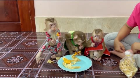 Sweetie & Caring Sovan & Sovanny Walk Carry Sister Jula To Join Snack Treat With Mom Very Yummy!!