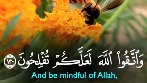 🔥 Surah Al-Imran 3:130 سورة آل عمران ⚡💰 #Quran #shorts #love #youtubeshorts #viral #trending #short