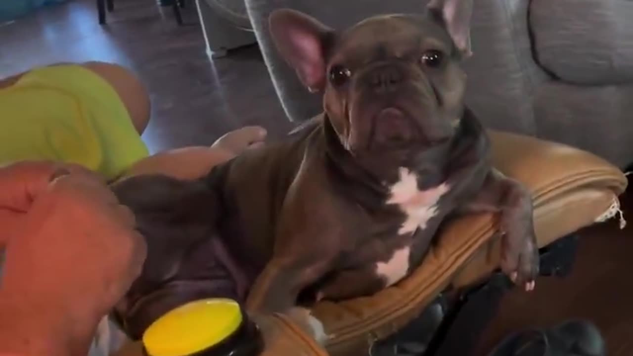 Woe Day 7. Waiting for GOD to open the Door for a spring/summer Pentecost rapture