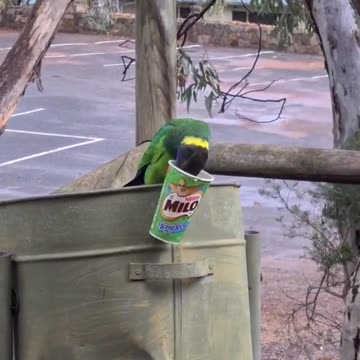 Welcome to Australia 🇦🇺