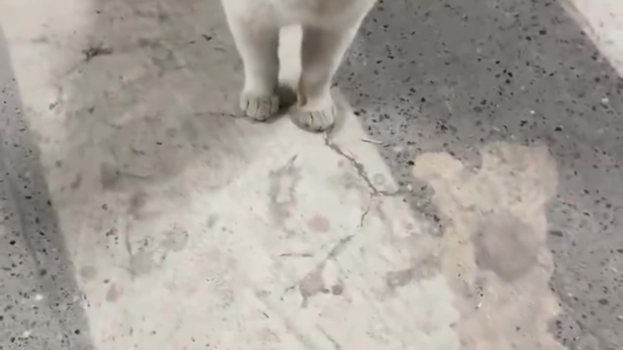 What's this titanic saying?