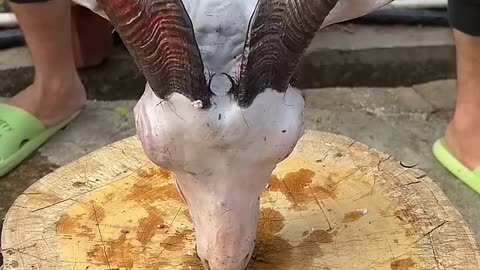Goats Head 😱 Cutting Skills By Professiona