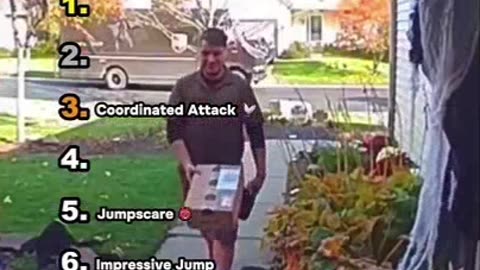 Ranking Best Ring Doorbell Moments